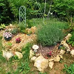 Proche De La Dordogne Avec Grand Jardin Et Cheminee - Fr-1-616-61 Sainte-Mondane
