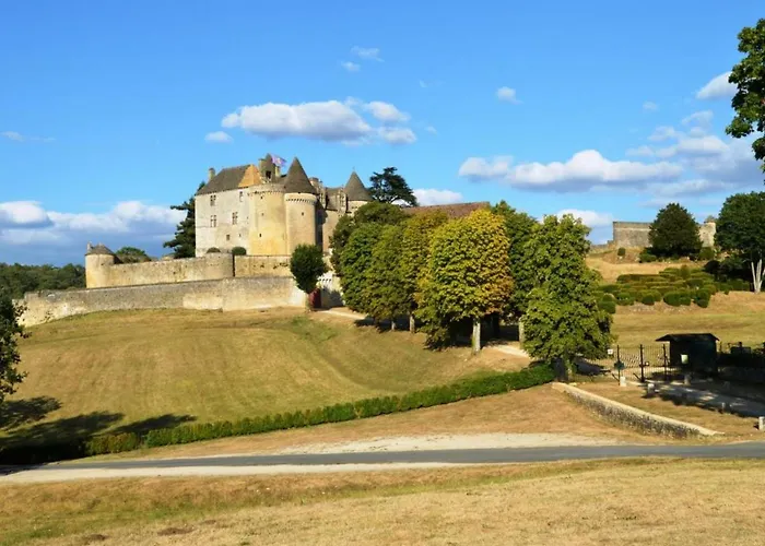 Proche De La Dordogne Avec Grand Jardin Et Cheminee - Fr-1-616-61 度假居